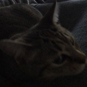 Meet your Posher, Jesus